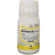 [05977532] BY-BULLDOCK 125 SC 500ML