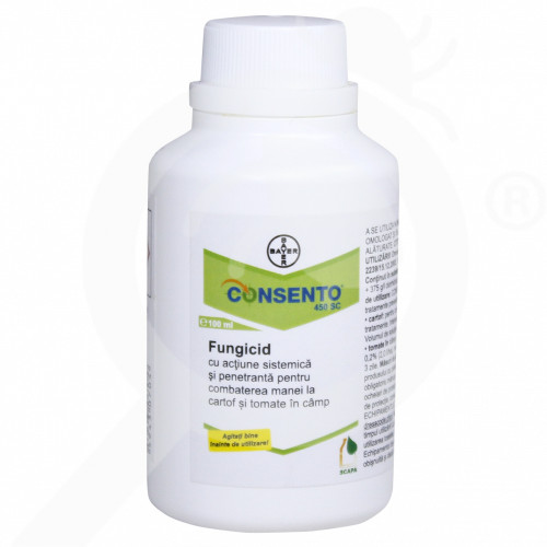 [CONSENTO 1LT] P026-CONSENTO 1LT