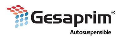 [19191] SYN-GESAPRIM AUTOSUSPENSIBLE 1 LT