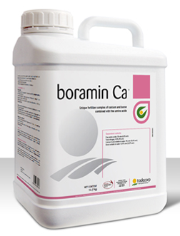 [BORAMIN CA 20 LT] TD- BORAMIN CA 20 LT
