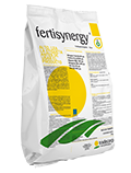 [FERTISYNERGY 1 KG] TD- FERTISYNERGY