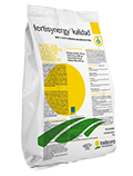 TD- FERTISYNERGY KALIDAD 1 KG