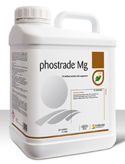 TD- PHOSTRADE MG 20 LT