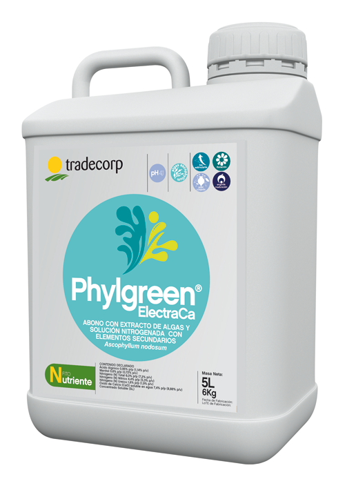 TD-PHYLGREEN ELECTRA 20LT