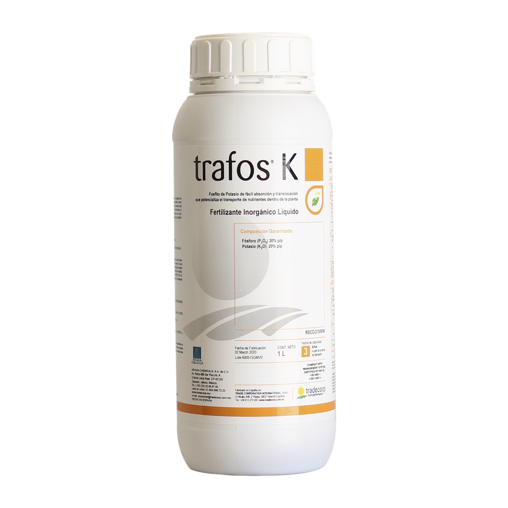 [TRAFOS K 1 LT] TD- TRAFOS K 1 LT