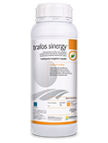 [TRAFOS SINERGY 1 LT] TD- TRAFOS SINERGY 1 LT