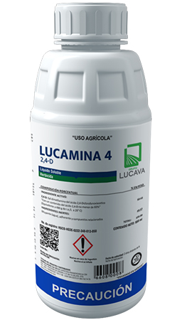 [6606 960ML] QL-LUCAMINA 4 960ML